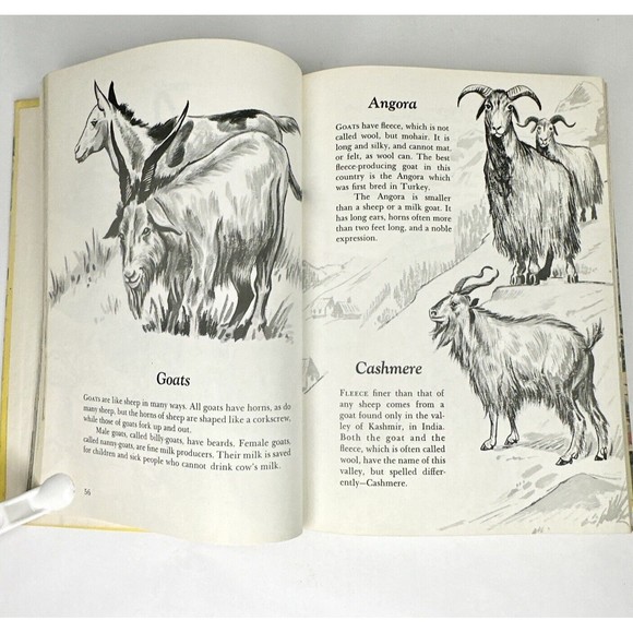 Children’s Guide To‎ Knowledge 1974 Children's Book - Picture 7 of 12